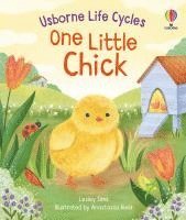 bokomslag One Little Chick