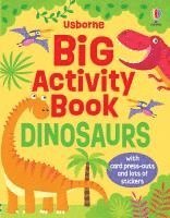 bokomslag Big Activity Book Dinosaurs