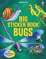bokomslag Big Sticker Book Bugs
