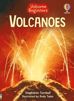 bokomslag Volcanoes