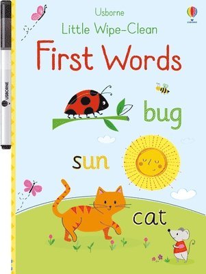 Felicity Brooks - Little Wipe-Clean First Words, Häftad
