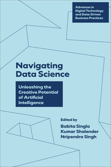 Babita Singla, Kumar Shalender, Nripendra Singh - Navigating Data Science, Inbunden