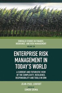 bokomslag Enterprise Risk Management in Todays World
