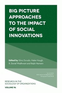 bokomslag Big Picture Approaches to the Impact of Social Innovations