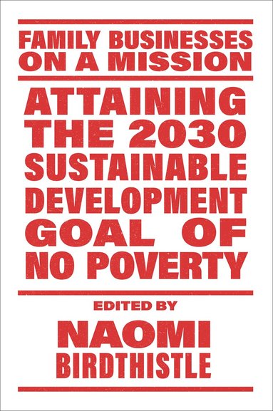 Naomi Birdthistle - Attaining the 2030 Sustainable Development Goal of No Poverty, Häftad