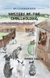 bokomslag Mystery at the Smallholding