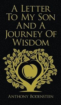bokomslag Letter to My Son and A Journey of Wisdom
