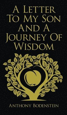 bokomslag Letter to My Son and A Journey of Wisdom