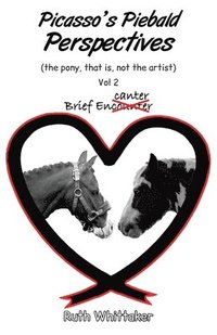 bokomslag Picasso's Piebald Perspectives