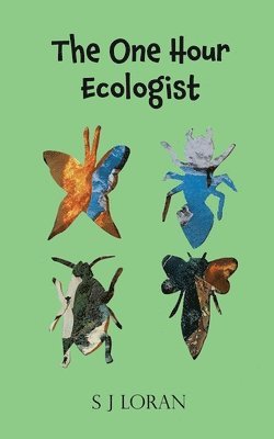 bokomslag One Hour Ecologist