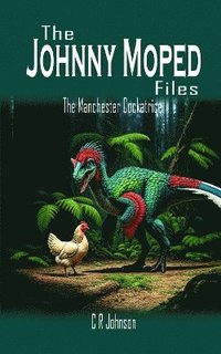 bokomslag Johnny Moped Files