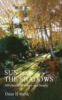 bokomslag Sun and The Shadows