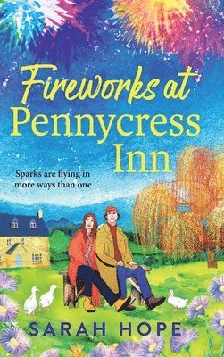 Fireworks at Pennycress Inn
