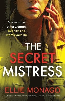 bokomslag The Secret Mistress