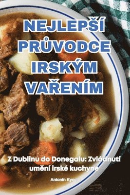 bokomslag Nejlepsí Pr?vodce Irskÿm Va?ením