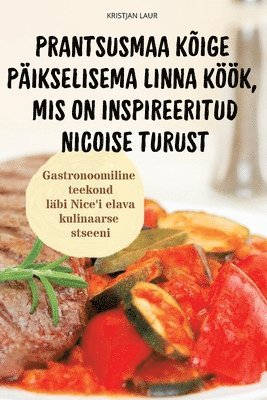 bokomslag Prantsusmaa Kige Pikselisema Linna Kk, MIS on Inspireeritud Nicoise Turust