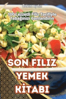 bokomslag Son Filiz Yemek K&#304;tabi