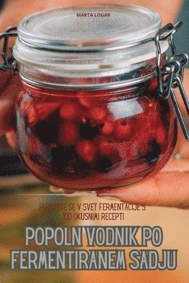 bokomslag Popoln Vodnik Po Fermentiranem Sadju