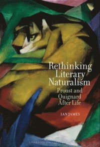 bokomslag Rethinking Literary Naturalism