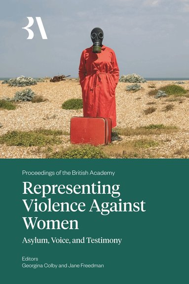 Rashida Manjoo, Georgina Colby, Jane Freedman - Representing Violence Against Women, Inbunden