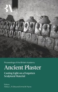 bokomslag Ancient Plaster