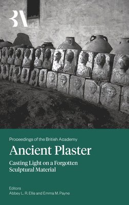 bokomslag Ancient Plaster