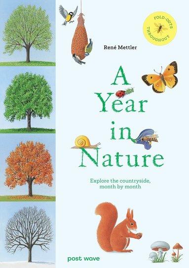 René Mettler - Year in Nature, Inbunden