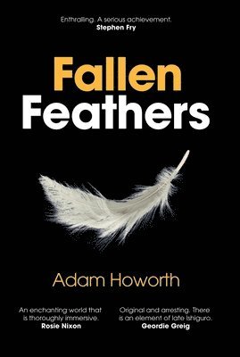 Fallen Feathers 1