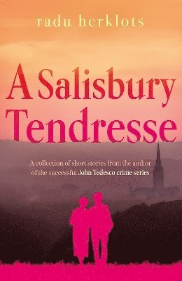 bokomslag Salisbury Tendresse