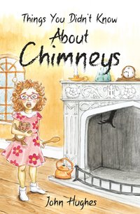 bokomslag Things You Didn't Know About Chimneys