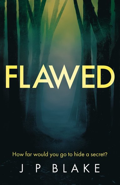 bokomslag Flawed