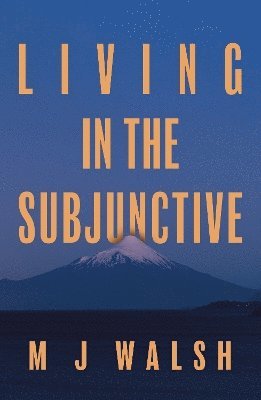 bokomslag Living in the Subjunctive