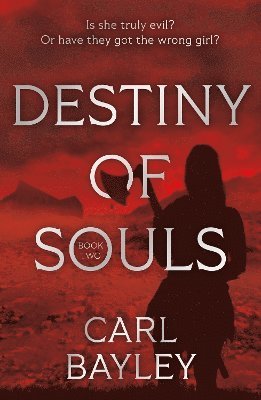 Destiny of Souls 1