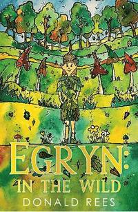 bokomslag Egryn