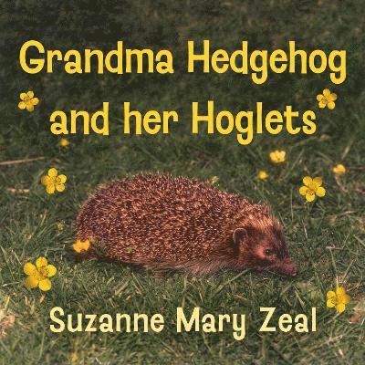 Grandma Hedgehog and Her Hoglets 1