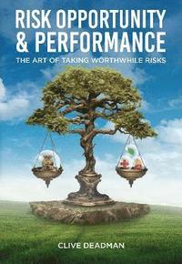 bokomslag Risk, Opportunity and Performance