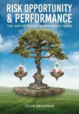 bokomslag Risk, Opportunity and Performance