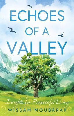 Echoes of a Valley 1