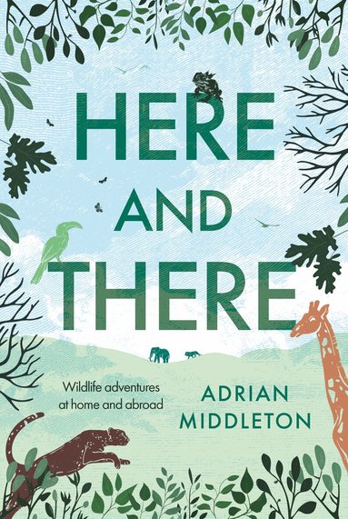 Adrian Middleton - Here and There, Inbunden