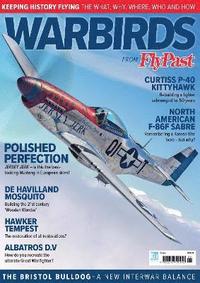 bokomslag Warbirds