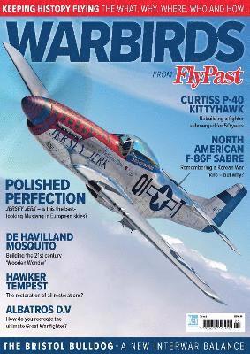 bokomslag Warbirds
