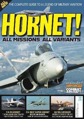 Kevin Wright - HORNET!, Häftad