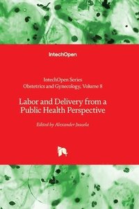 bokomslag Labor and Delivery from a Public Health Perspective