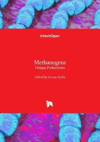 bokomslag Methanogens