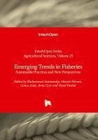 bokomslag Emerging Trends in Fisheries - Sustainable Practices and New Perspectives: Sustainable Practices and New Perspectives