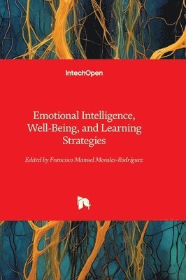 Emotional Intelligence, Well-Being, and Learning Strategies