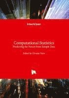 bokomslag Computational Statistics - Predicting the Future from Sample Data