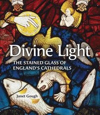 bokomslag Divine Light