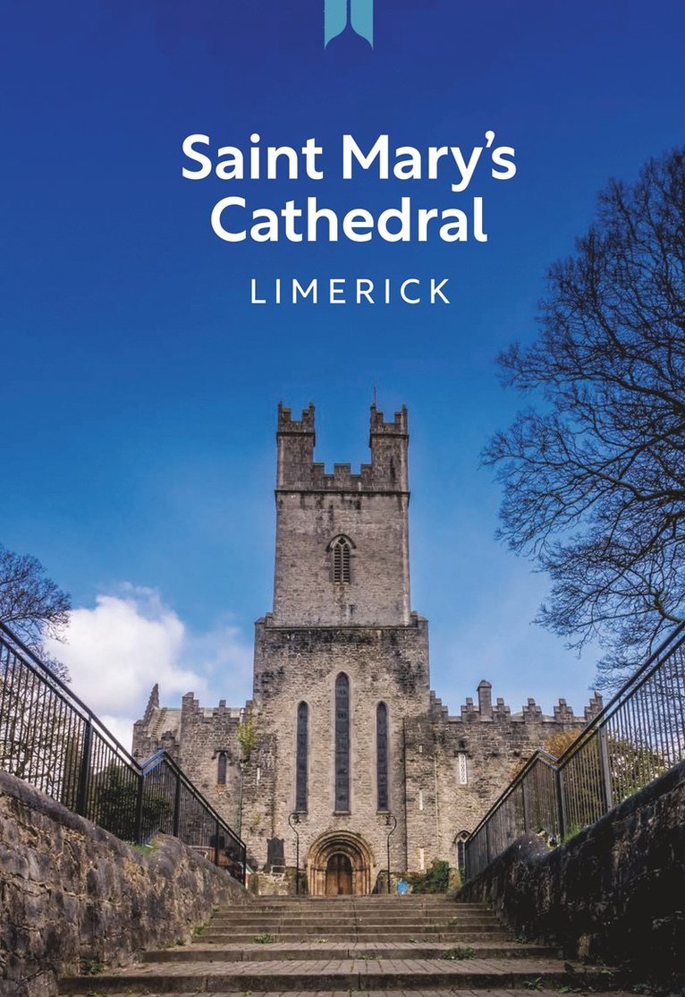 Ros Stevenson - Saint Mary's Cathedral Limerick, Häftad