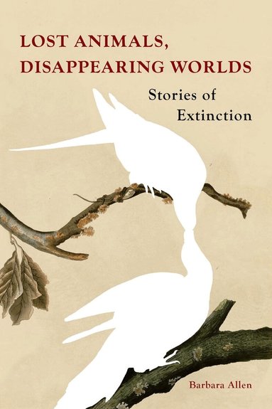 Barbara Allen - Lost Animals, Disappearing Worlds, Inbunden